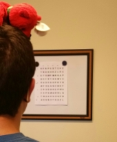 Reading letters on the Hart Chart with a Beanie Baby on my head to stop me from moving around